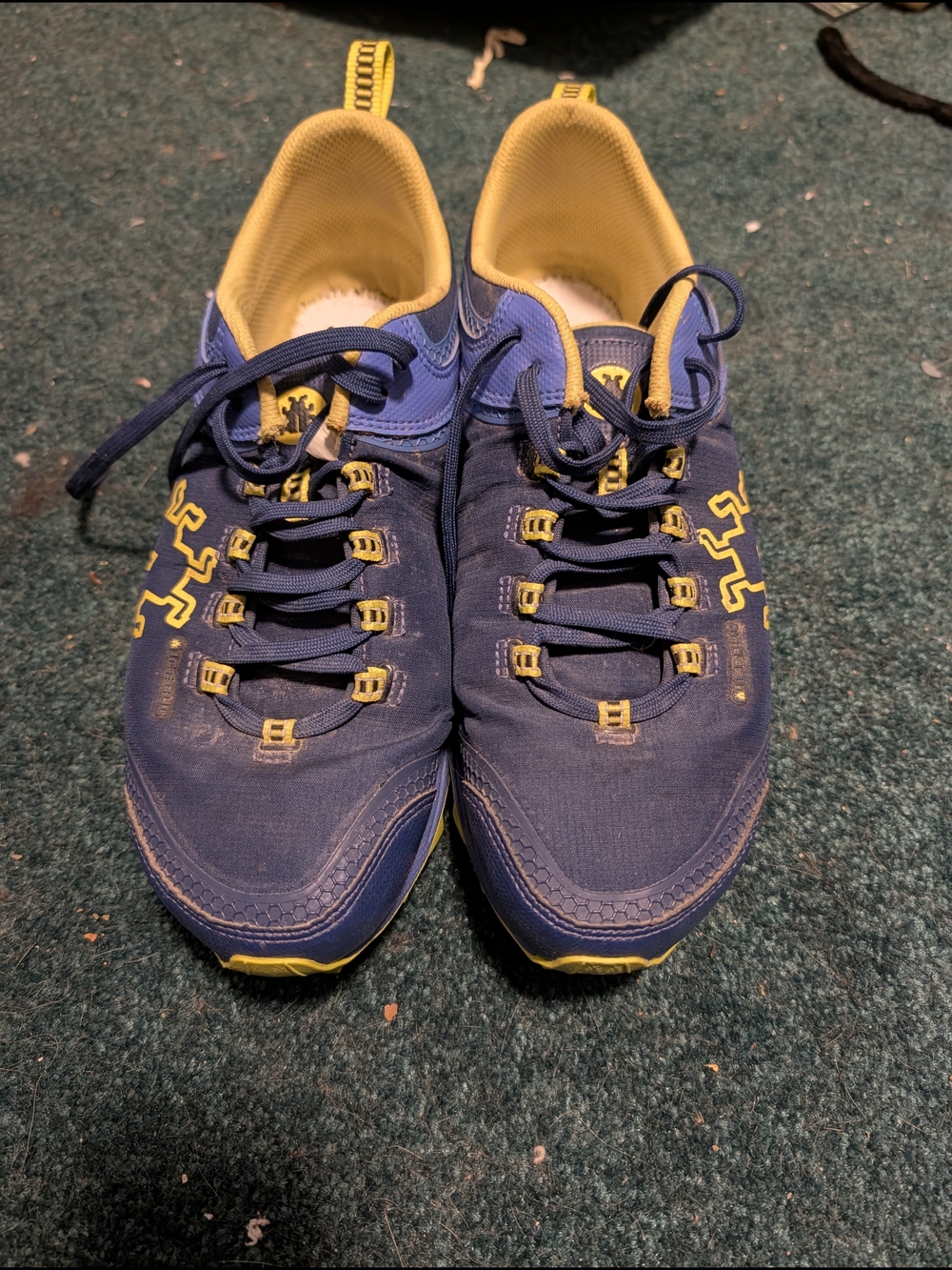 Ice Bugs Aurora Bugrip Running Shoes